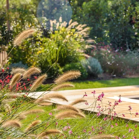 Les Arbousiers Di * Lecci