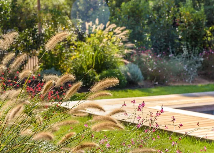 Les Arbousiers Di * Lecci